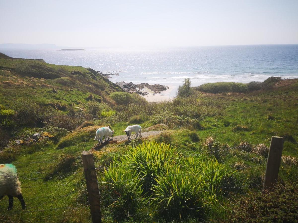 Anne'S Thatched Cottage Kilcar エクステリア 写真